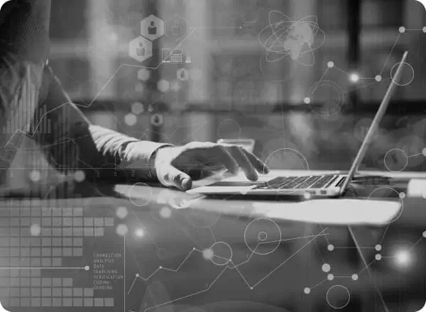 holistic agile solutions